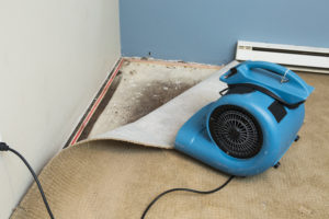 blue color cleaning machine on the floor